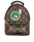Mini Palm Springs Backpack, front view